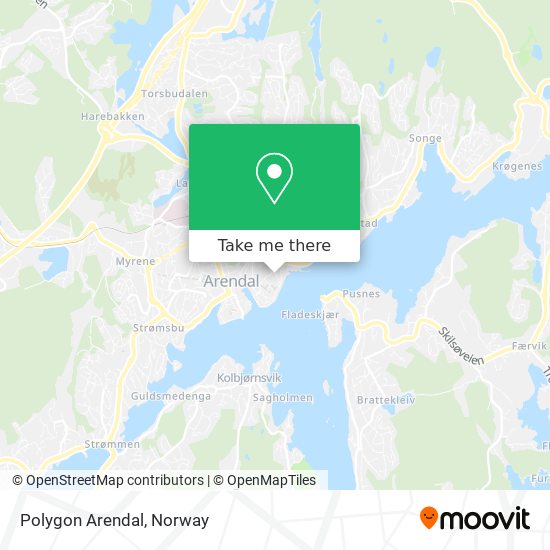 Polygon Arendal map