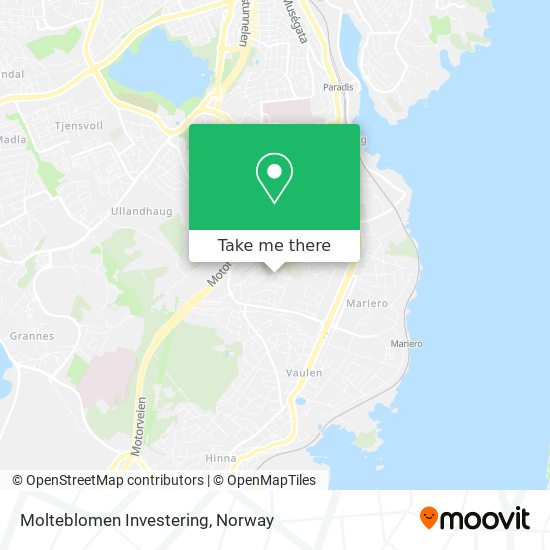 Molteblomen Investering map