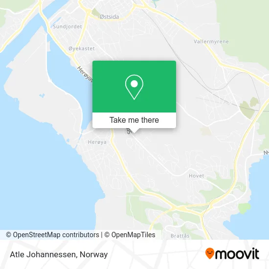 Atle Johannessen map