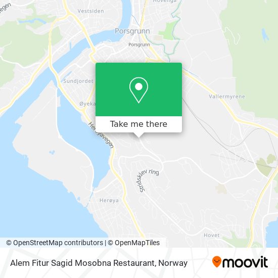 Alem Fitur Sagid Mosobna Restaurant map