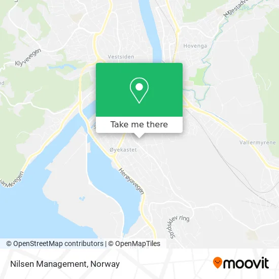 Nilsen Management map