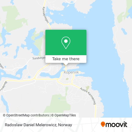 Radoslaw Daniel Melerowicz map