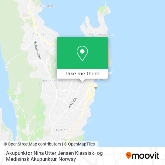 Akupunktør Nina Utter Jensen Klassisk- og Medisinsk Akupunktur map