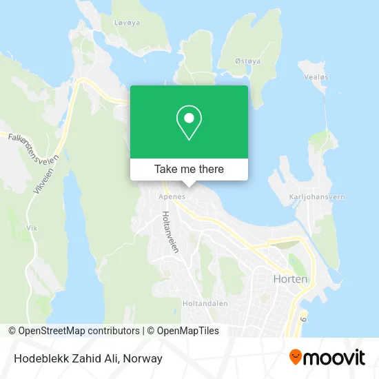 Hodeblekk Zahid Ali map