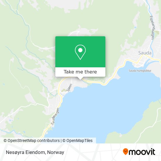 Nesøyra Eiendom map