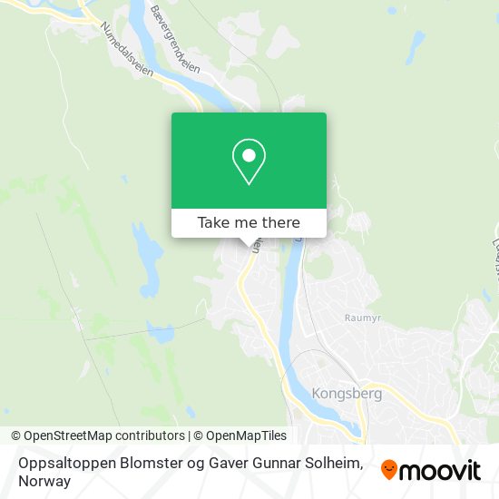 Oppsaltoppen Blomster og Gaver Gunnar Solheim map