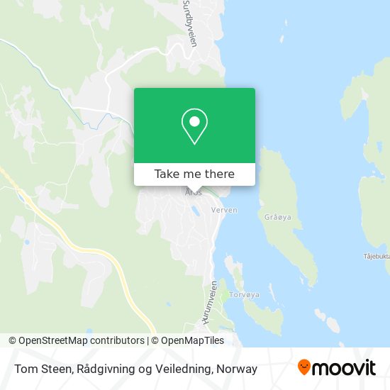 Tom Steen, Rådgivning og Veiledning map