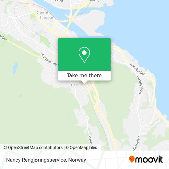 Nancy Rengjøringsservice map