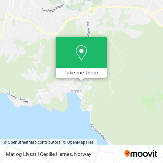 Mat og Livsstil Cecilie Hernes map