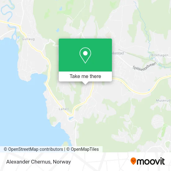 Alexander Chernus map