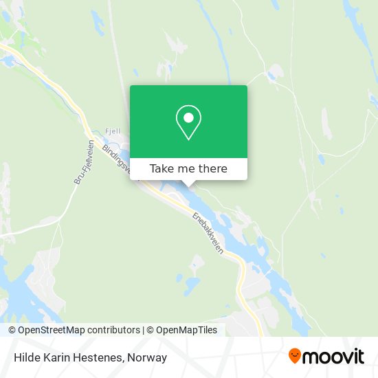 Hilde Karin Hestenes map