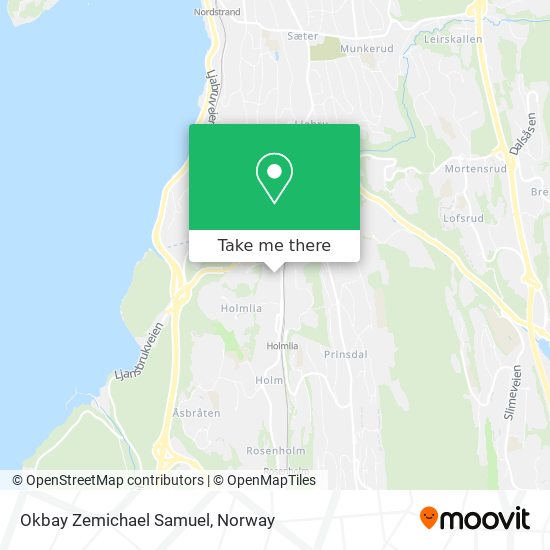 Okbay Zemichael Samuel map