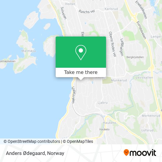 Anders Ødegaard map