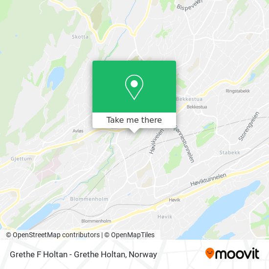 Grethe F Holtan - Grethe Holtan map