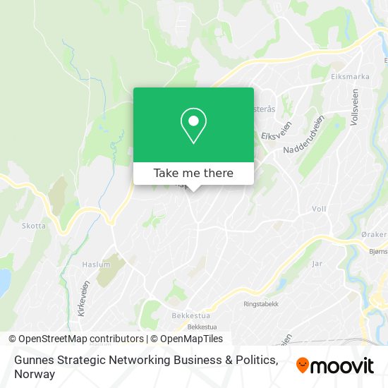 Gunnes Strategic Networking Business & Politics map