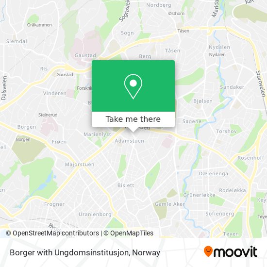 Borger with Ungdomsinstitusjon map
