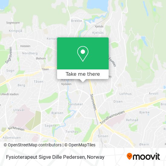 Fysioterapeut Sigve Dille Pedersen map