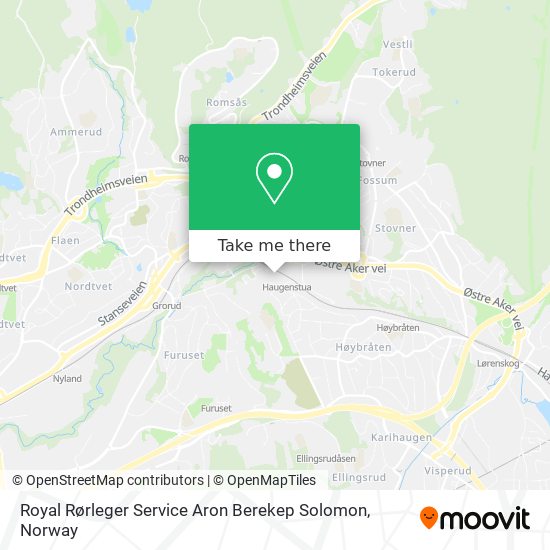 Royal Rørleger Service Aron Berekep Solomon map