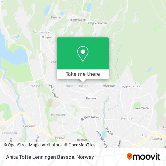 Anita Tofte Lønningen Bassøe map