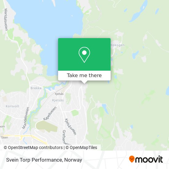 Svein Torp Performance map