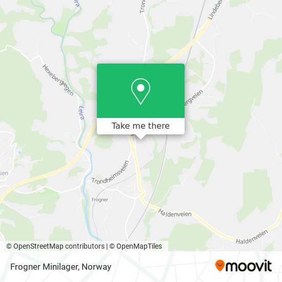 Frogner Minilager map