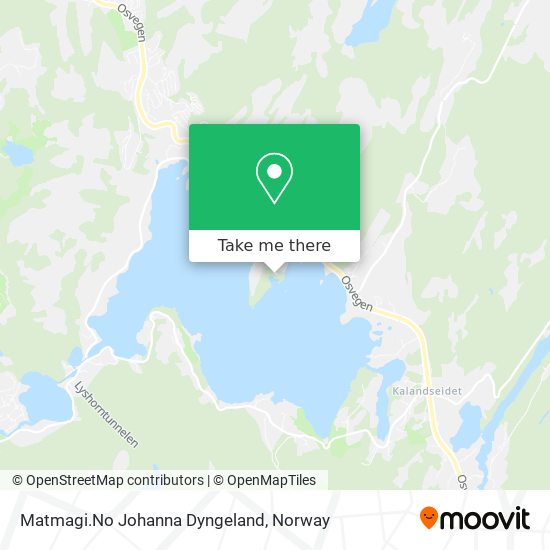 Matmagi.No Johanna Dyngeland map