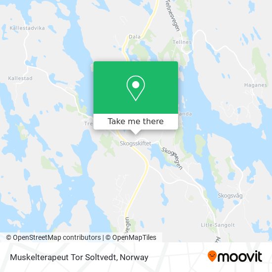 Muskelterapeut Tor Soltvedt map