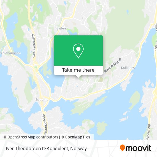 Iver Theodorsen It-Konsulent map