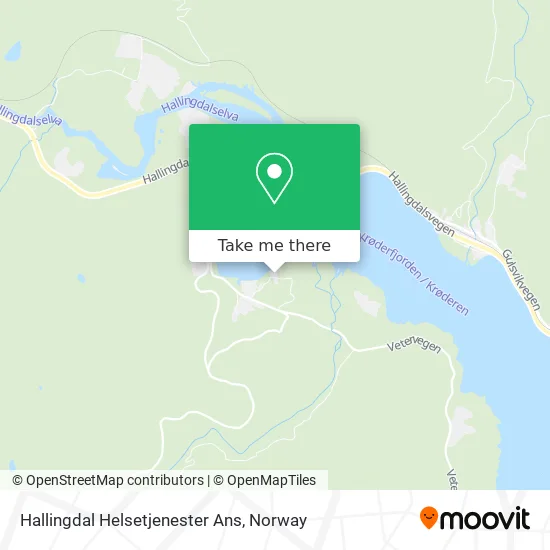 Hallingdal Helsetjenester Ans map