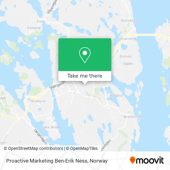 Proactive Marketing Ben-Erik Ness map