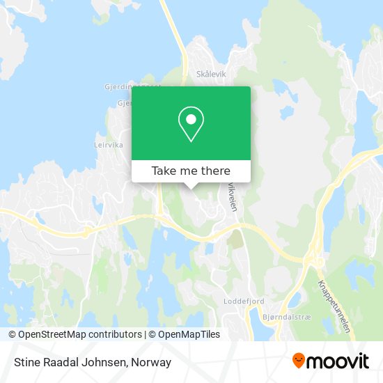 Stine Raadal Johnsen map