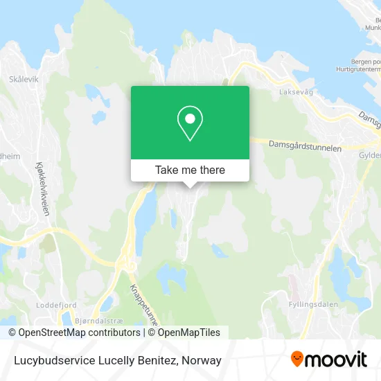 Lucybudservice Lucelly Benitez map