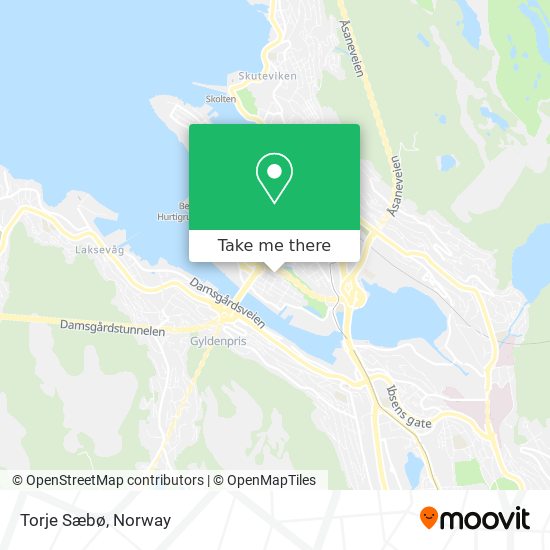 Torje Sæbø map