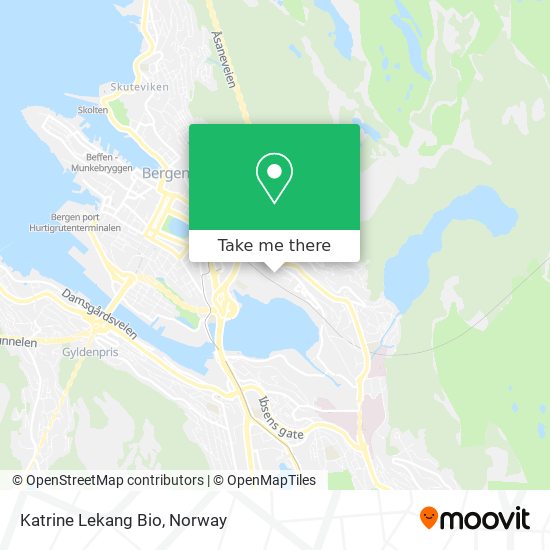 Katrine Lekang Bio map