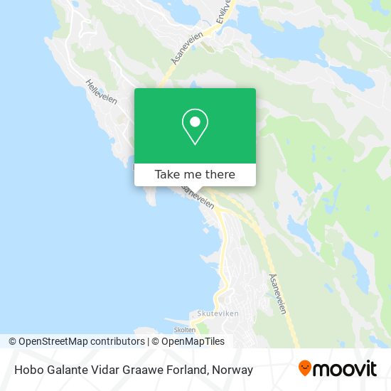 Hobo Galante Vidar Graawe Forland map
