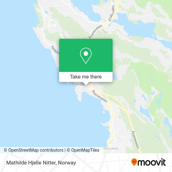 Mathilde Hjelle Nitter map