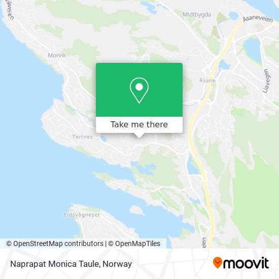 Naprapat Monica Taule map