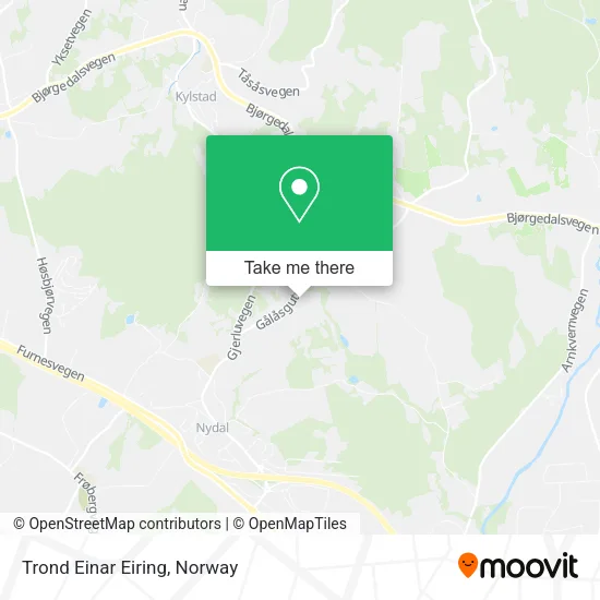 Trond Einar Eiring map