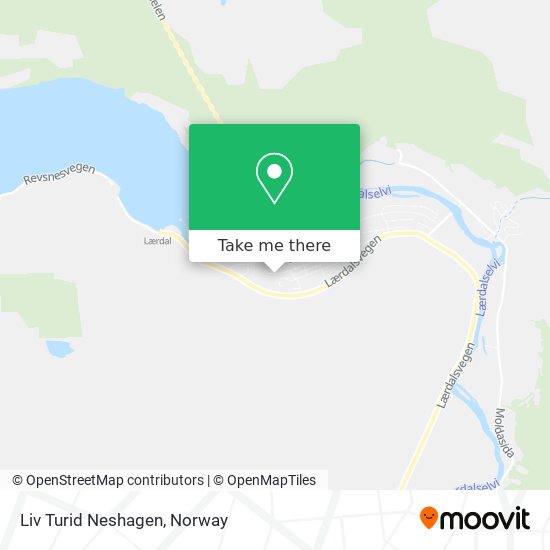 Liv Turid Neshagen map