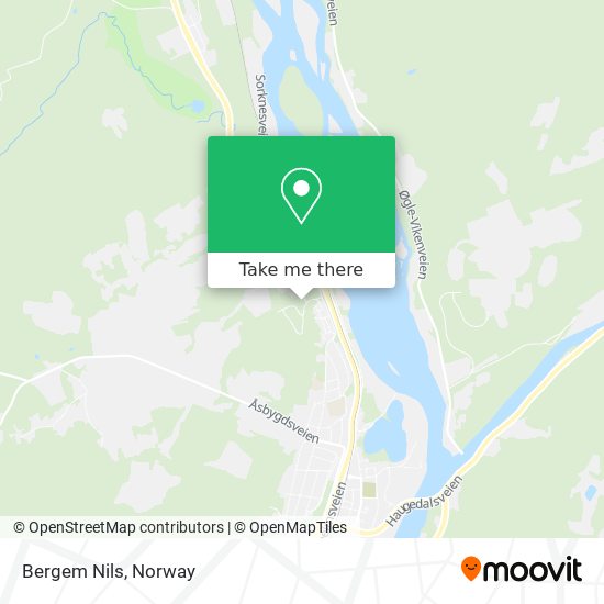 Bergem Nils map