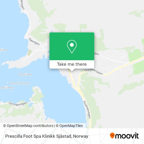 Prescilla Foot Spa Klinikk Sjåstad map