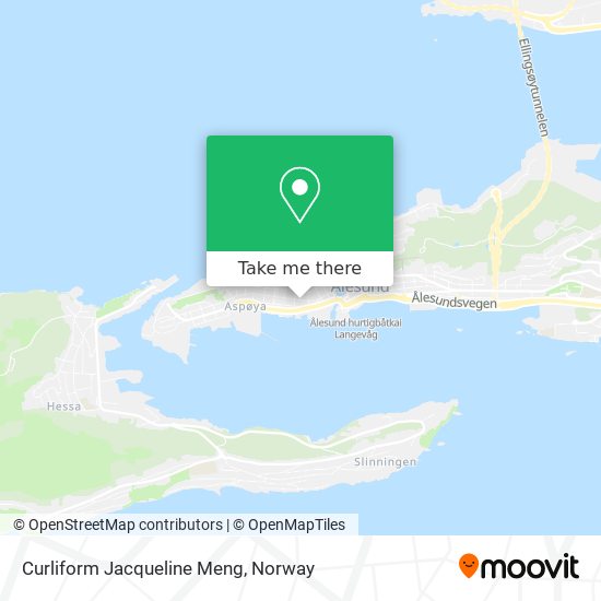 Curliform Jacqueline Meng map