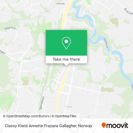 Classy Kiwis Annette Frazana Gallagher map