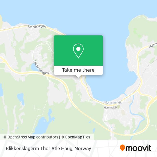 Blikkenslagerm Thor Atle Haug map