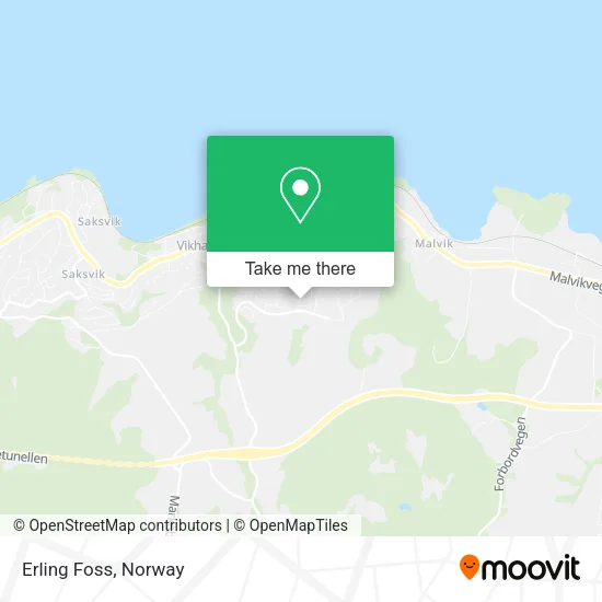 Erling Foss map