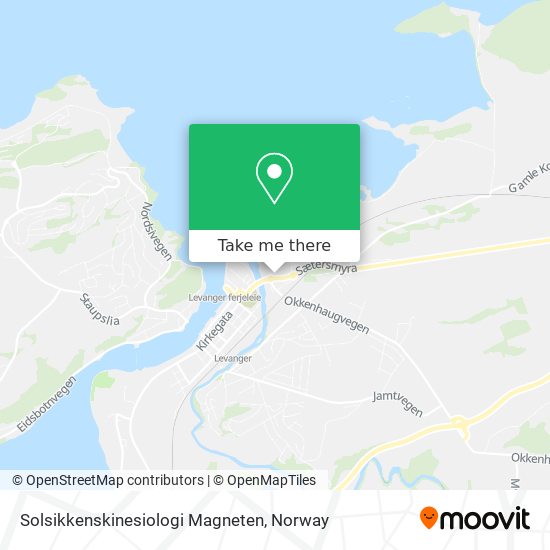 Solsikkenskinesiologi Magneten map