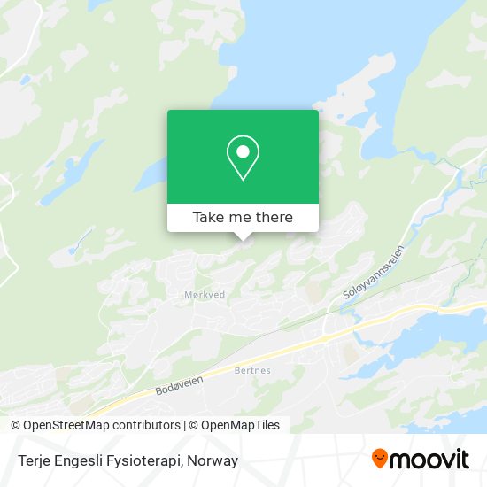 Terje Engesli Fysioterapi map