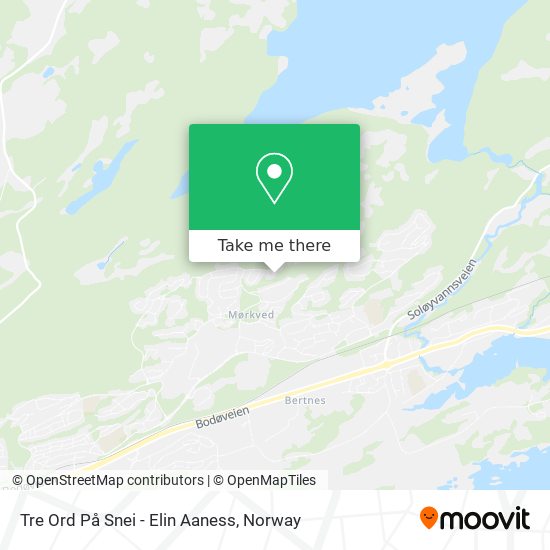 Tre Ord På Snei - Elin Aaness map