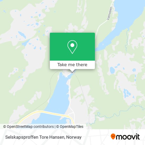 Selskapsproffen Tore Hansen map