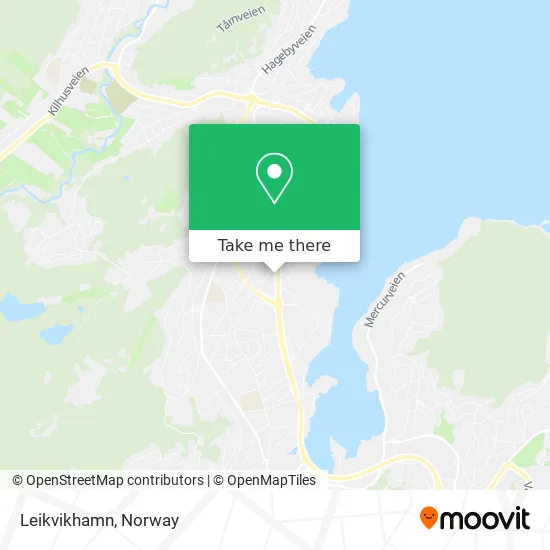 Leikvikhamn map